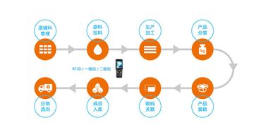構建智慧防線 水產品質量追溯系統與信息安全軟件開發雙管齊下，保障您的食用安全